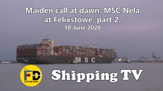 Part 2 - Maiden call: MSC Nela arrives on her maiden call from Colombo, 4am on 10 June 2020 by Shipping TV 458 views 3 years ago 4 minutes, 34 seconds