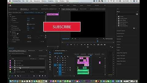 The file cannot be opened because of a Header Error in Adobe Premiere Pro 2020 #1minutesolution
