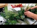 Learn how to decorate a Christmas garland with Corinne