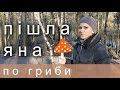 В ЛІС ПО ГРИБИ НАВЕСНІ? | НІМЕЦЬКИЙ ЛІС | Німецькі будні