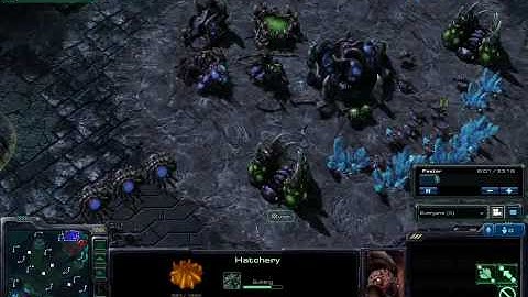 Starcraft 2 Beta - 2v2 TZvTZ on Twilight Fortress Commentary p1