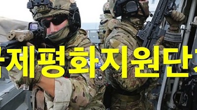 국제평화지원단가 국제평화지원단
