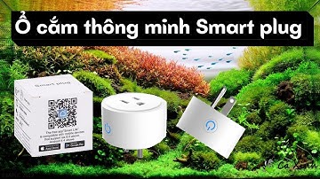 | Giới thiệu sản phẩm | Ổ cắm Wifi thông minh Smart plug - Aqua Hà Nội