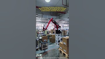 Borunte palletizing robot #borunte #factory #borunterobot #industrialrobot #intelligence #factory