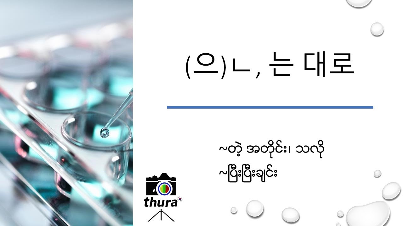 ( Day 170 ) ~(으)ㄴ/는 대로 = ~တဲ့ အတိုင်း၊ သလို / ~ပြီးပြီးချင်း