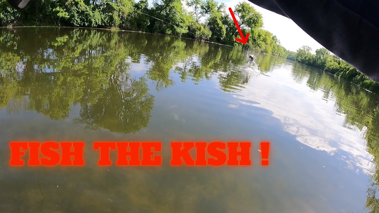 Smallmouth Bass Fishing on the Kishwaukee River Illinois - How to Catch Fish !