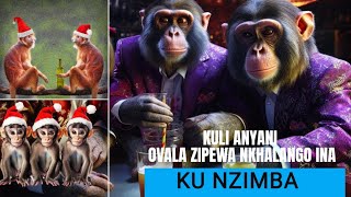 KU MZIMBA KULI NKHALANGO INA YOMWE ILI NDI ANYANI OMWE AMAVALA ZIPEWA NGATI ANTHU