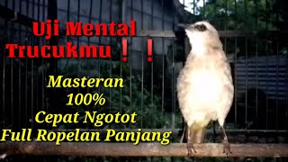 Download lagu Pancingan Tes Mental Trucuk❗Di Jamin Langsung Nyaut Dan Langsung Ngotot Emosi