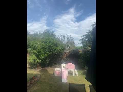 This is the garden #funny #mrbeast #viral by Charlie Granger