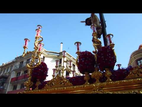 Real, Ilustre y Fervorosa Hermandad Sacramental de la Pura y Limpia Concepción de la Santísima Virgen María, Ánimas Benditas del Purgatorio y Cofradía de Nazarenos del Santísimo Cristo de la Salud, María Santísima del Refugio, Santa Cruz, Nuestra Señora del Patrocinio, Santa Bárbara y San Bernardo