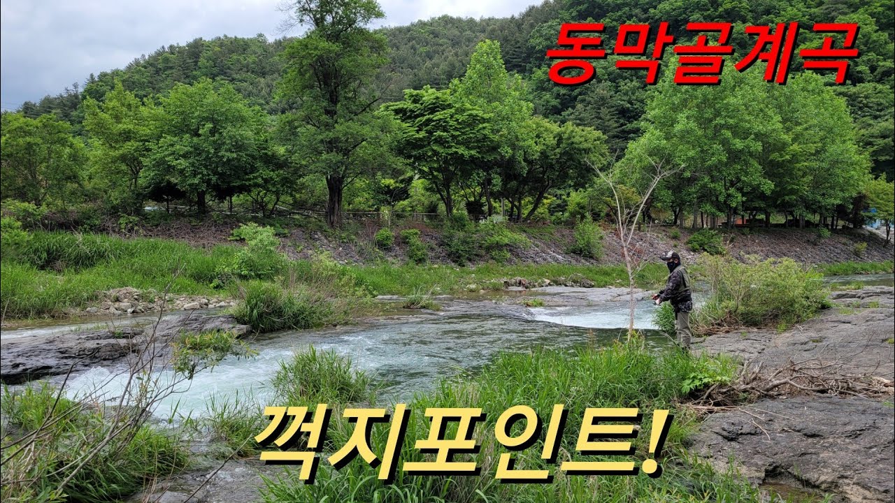 청정계곡 꺽지포인트 공개!