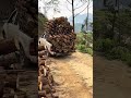 15-ton walk-behind crawler transport vehicle, dedicated for transporting wood in mountainous are