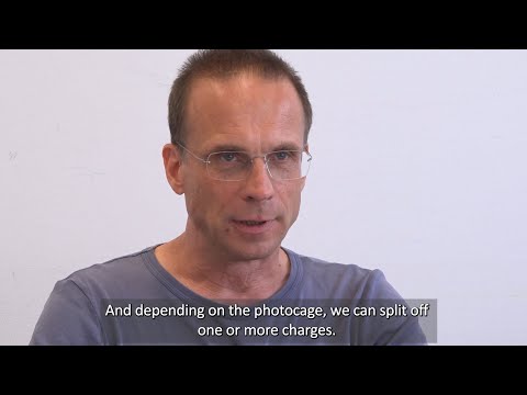 Why are photocages important for the project?