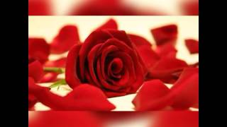 Günaydın Mesajları