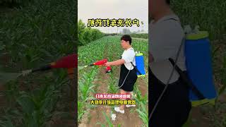 💦 Powerful Lithium Sprayer Review | High-Pressure Water Gun Demo 🔧2. 🚿 Next-Level Garden Sprayer!