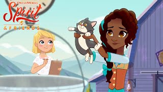 🐈‍⬛ Lost Kitty Finds an Unexpected Home | Exclusive Shorts | SPIRIT & FRIENDS