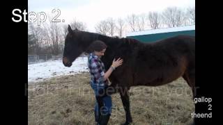 Teach Your Horse To Hug Back- 2 Easy Steps