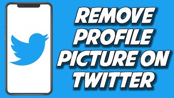 How To Remove Profile Picture On Twitter 2023 (STEP BY STEP)