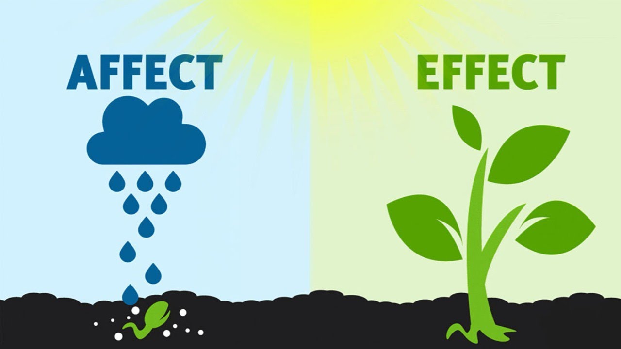 Effects effects разница. Affect. Affect Effect. Effected affected разница. Разница между affect и Effect.