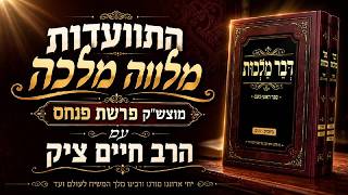 התוועדות מלווה מלכה מוצש"ק פרשת פנחס. ה'תשפ"ו