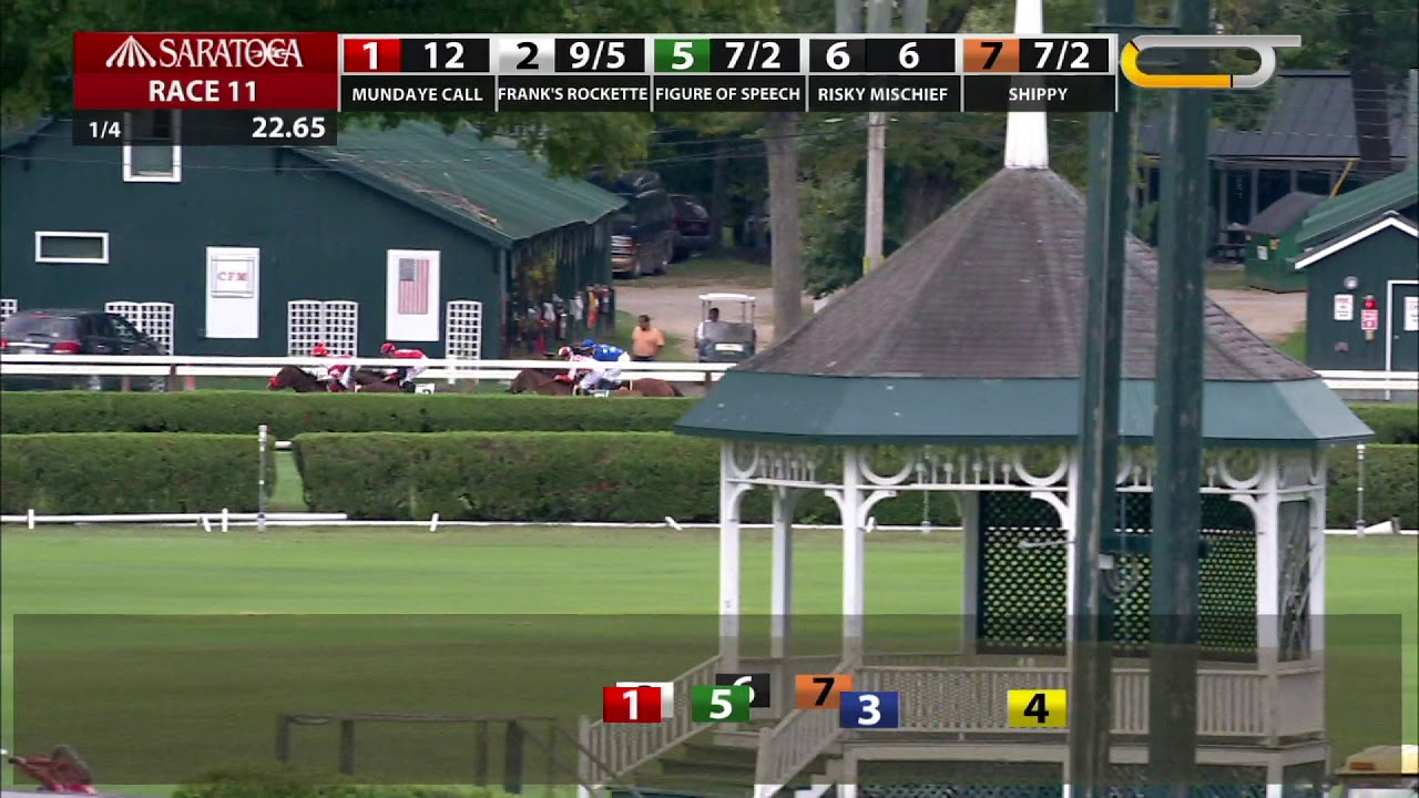 horseshoe bend Perfect Alibi - 2019 - The Spinaway Stakes en Espanol