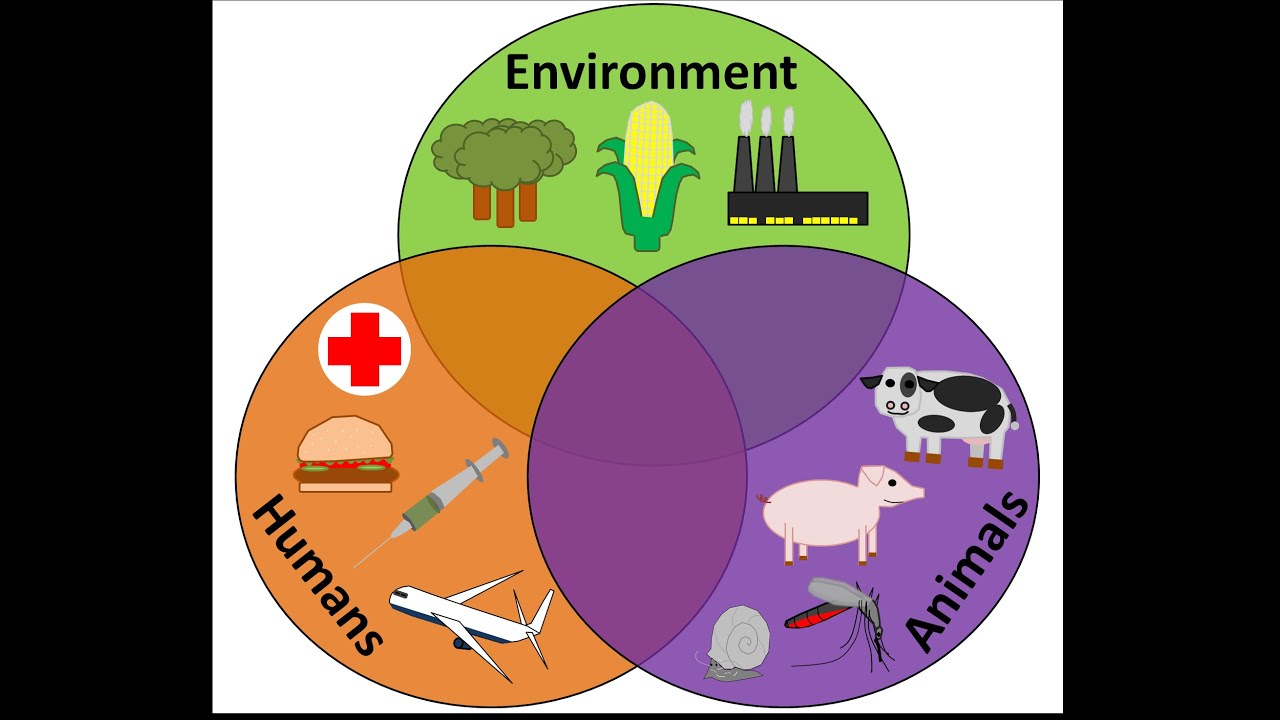 LEVEL 9--HUMANS & THE ENVIRONMENT PART (1) - YouTube