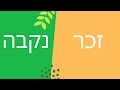 הכנה לכיתה א לומדים לקרוא הבחנה בין זכר לנקבה Zachar Nekeva מילים לילדים ולעולים חדשים הכנה לכיתה א לומדים לקרוא הבחנה בין זכר לנקבה Zachar Nekeva מילים לילדים ולעולים חדשים