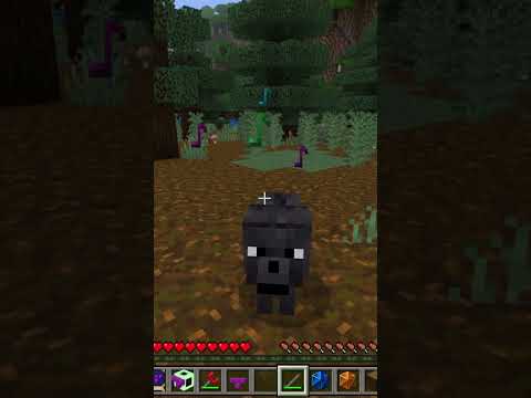 Minecraft wolf singing a certain game theme...! - MINECRAFT X TETRIS ADD-ON