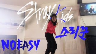 Stray kids: Thunderous full dance cover