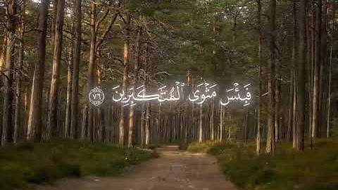 ادخلوا ابواب جهنم خالدين فيها....##القارئ #الشيخ_محمد_المحيسني #قران_كريم #قرآن #تلاوة_خاشعة #ارح_س