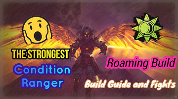The Strongest Roaming Ranger Build and Guide Druid is The Condition King WvW Guild Wars 2