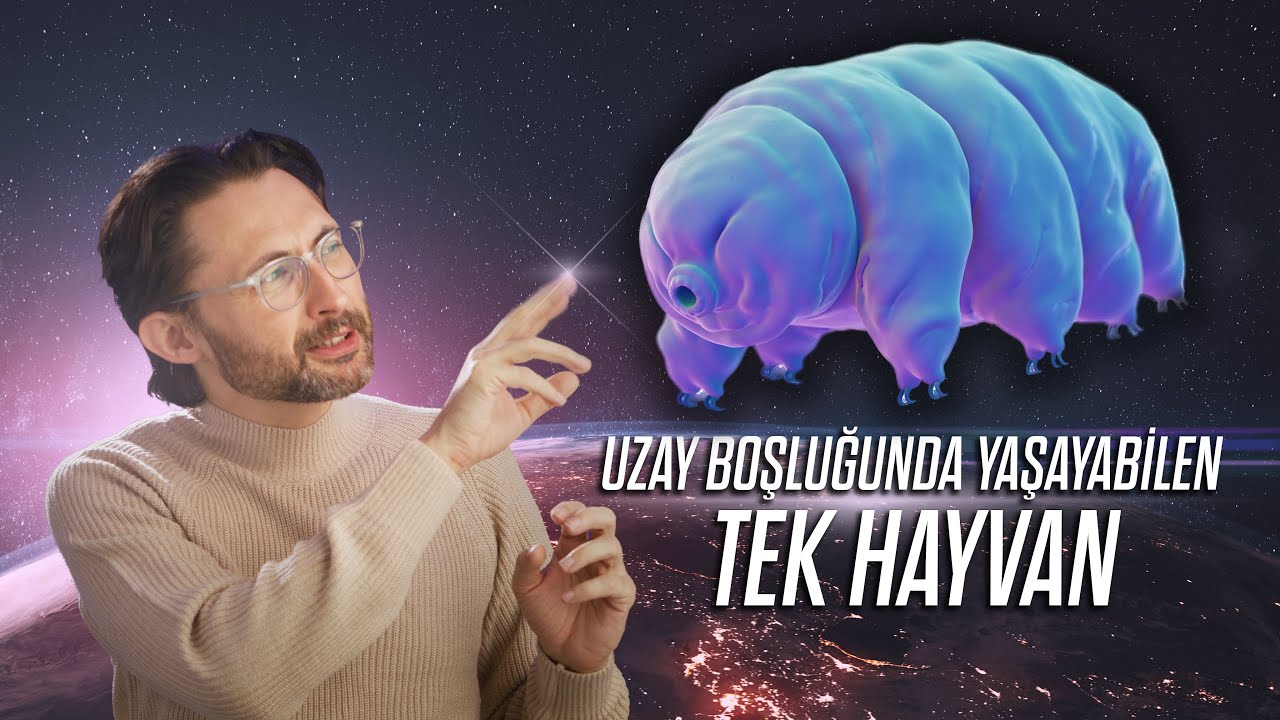 Uzay boşluğunda yaşayabilen tek hayvan başka bir yıldıza gönderilecek!