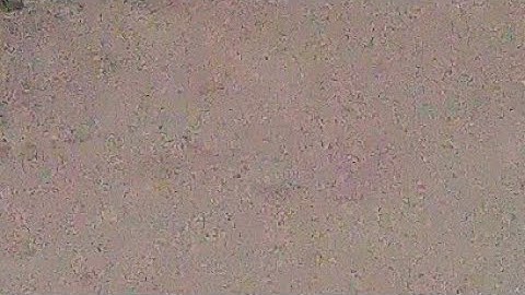 19 फरवरी बुधवार सप्तमी तिथि के दिन 1 चुटकी हल्दी वाला ये उपाय जरूर कर लेना हर मनो...PardeepJiMishra