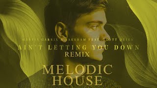 Martin Garrix X Israel Carter  Aint Letting You Down remix  Melodic House