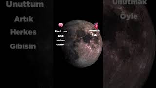 Unuttum Artık Herkes Gibisin...