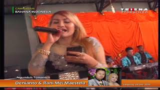 Banyu Langit*Rita Ratu Tawon*Cs. Bahana Live Sampang