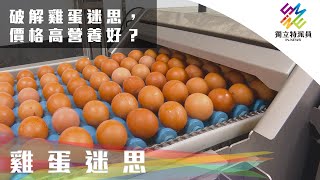 破解雞蛋迷思，價格高=營養好？｜獨立特派員 第702集 (雞蛋迷思)