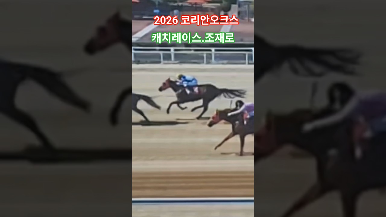 완벽한 인마호흡#경마 #말 #달려라말 #shorts #대상경주