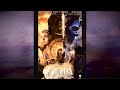The Legend Of Zelda Rising Darkness FULL MOVIE HD Live Action Fan Film The Legend Of Zelda Rising Darkness FULL MOVIE HD Live Action Fan Film