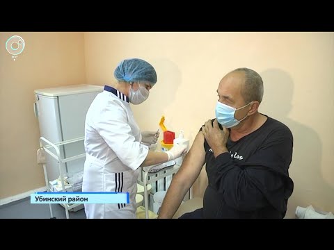 Привились все. Как живут люди в самой здоровой и сознательной деревне Новосибирской области?