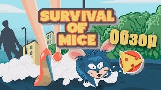 Survival of mice - классный таймкиллер [Обзор] screenshot 2
