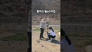 #함마드릴#파이프#비닐하우스  기둥 세우기 #노가다#보조 중입니다#크록스 신었댜그 뭐라하지마세요~~~~^^