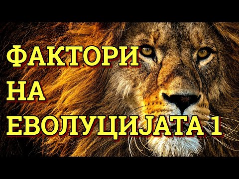 ШТО ЈА ДВИЖИ ЕВОЛУЦИЈАТА? КАКО СЕ МЕНУВА НАСЛЕДНИОТ МАТЕРИЈАЛ?