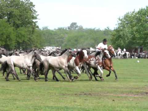 Da de la Tradicin San Antonio de Areco