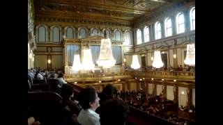 ВЕНСКАЯ ФИЛАРМОНИЯ Wiener Musikverein Vienna Philharmonic