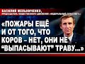 Василий Мельниченко: «Пожары ещё и от того, что коров - нет, они не &quot;выпасывают&quot; траву...»