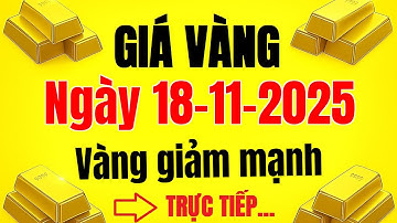Trực tiếp giá vàng hôm nay 18/11/2025 | Bảng giá vàng trong nước 9999 24k SJC mới nhất..