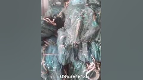 lú củ. lộp củ. 12 cửa ngục củ. đủ mẩu. 0963818136