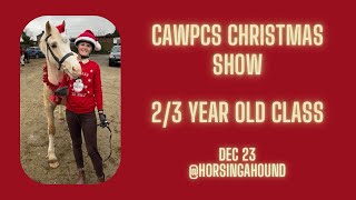 CAWPCS Christmas Show with Nico
