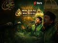 Mera Peer Ali Mera Meer Ali 🕊️ Sufi Qawwali Short